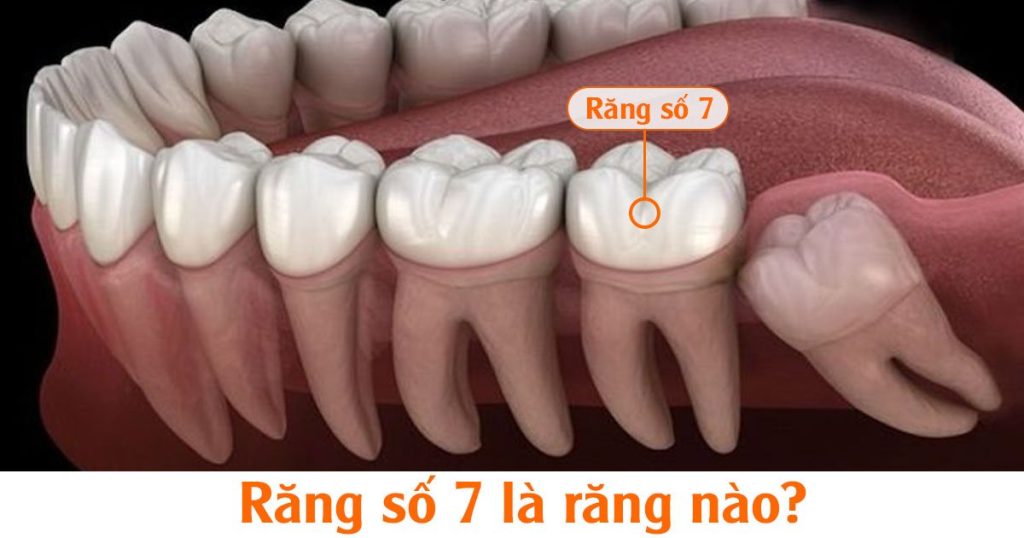 rang-so-7